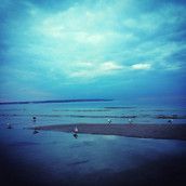 Profilfoto  Flo_2019