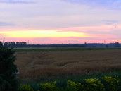 Profilfoto  kiraundsebi