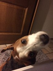 Profilfoto  Surprisebaby