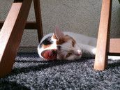 Profilfoto  lucy_191108