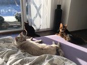 Profilfoto  Krebs1303