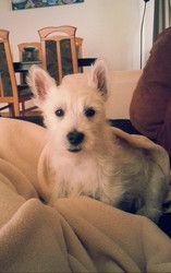 Profilfoto  Bella_83