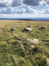 Profilfoto  anastasiab