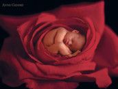 Profilfoto  Silvester31