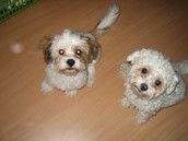 Profilfoto  Sternenkind2009