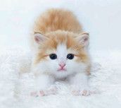 Profilfoto  majatouk99