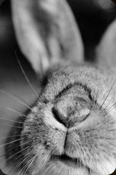 Profilfoto  ciniminni