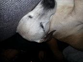 Profilfoto  christinaj