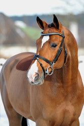 Profilfoto  Ninchen202