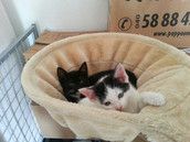 Profilfoto  Familie2015