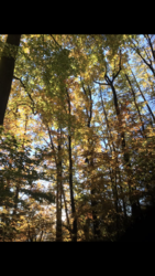 Profilfoto  Hebammenpraxis