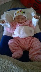 Profilfoto  vielfrass