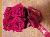 Profilfoto  Sarah0710