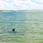 Profilfoto  Mariefee11