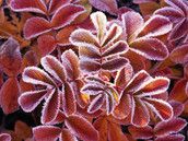 Profilfoto  ritter04