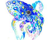 Profilfoto  tintifischi