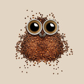 Profilfoto  Mika1513