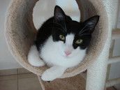 Profilfoto  medicinewoman297