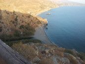 Profilfoto  Kiwilein