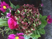 Profilfoto  Mauseprinzessin