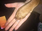 Profilfoto  Spongbob