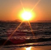 Profilfoto  Alice_Im_Wunderland