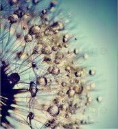 Profilfoto  YoungWildFree