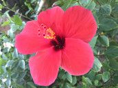 Profilfoto  MelissaYzz