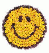 Profilfoto  flinserl