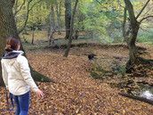 Profilfoto  JennyDomi15