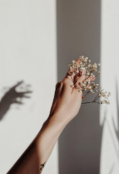 Profilfoto  jennifermeier