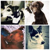 Profilfoto  Fruechtel