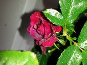 Profilfoto  anne22787