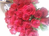 Profilfoto  Moeppimaus2307