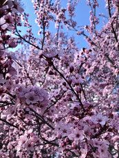 Profilfoto  ClaudiXx