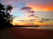 Profilfoto  sienna2305