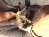 Profilfoto  Jayjay88