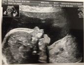 Profilfoto  Lavendel63025