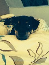 Profilfoto  Danielaa