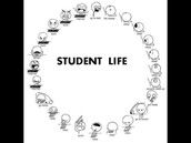 Profilfoto  Lilalena