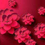 Profilfoto  janine84