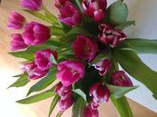 Profilfoto  Tigger78