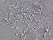 Profilfoto  Morgentau