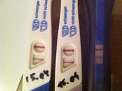 Profilfoto  ZoeyRose