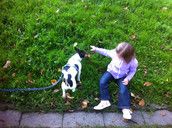 Profilfoto  GlitzerStaub