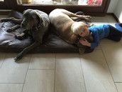 Profilfoto  Cleoblue