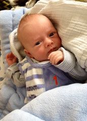 Profilfoto  Miss-Ungeduld