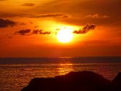 Profilfoto  JAinLOVE