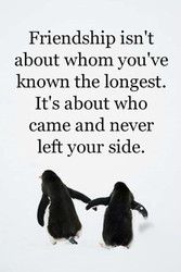 Profilfoto  babywish007