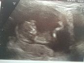 Profilfoto  Lulu0804